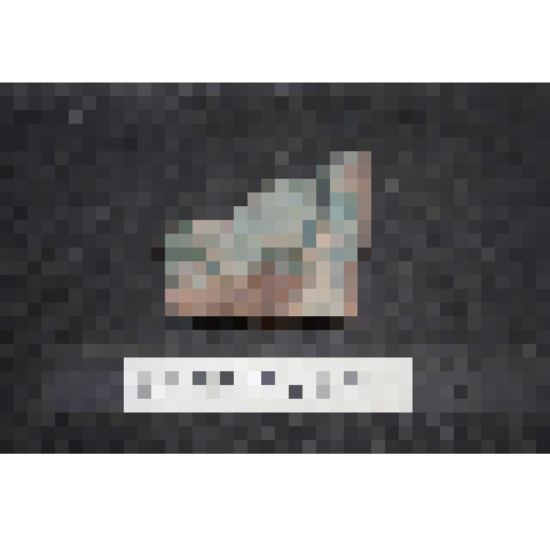 Донской монастырь. Донская пл.,1. XVI-XIX вв.; Донской монастырь. Донская пл.,1. Фрагмент изразца печного рельефного зеленого. Донской монастырь (Москва). Изразец