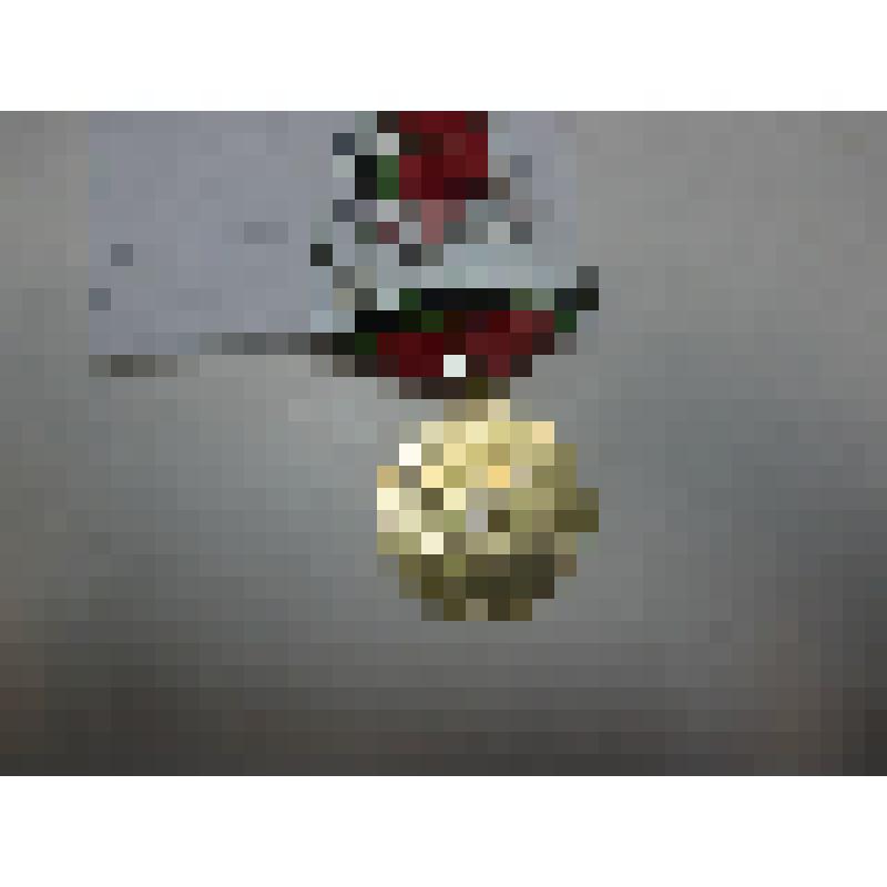 Медаль юбилейная «Двадцать лет Победы в Великой Отечественной войне 1941-1945 гг.»