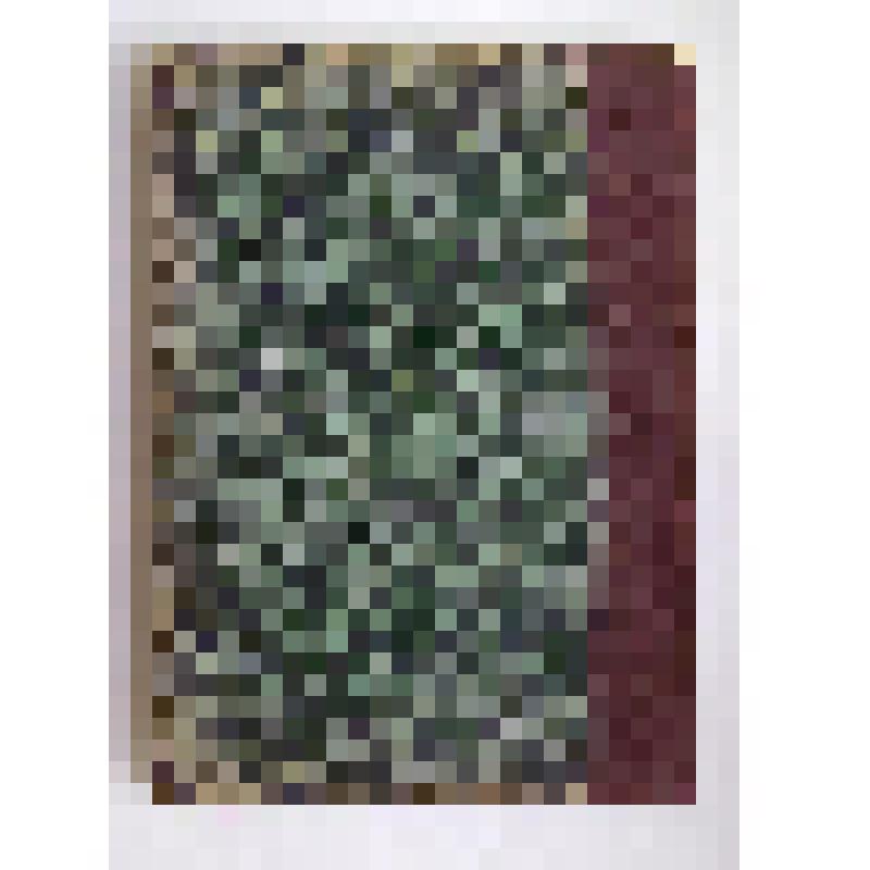 Книга. Организация хозяйства: Пособие для учеников средних сельскохозяйственных учебных заведений. – СПб: Изд. А.Ф. Девриена, 1899