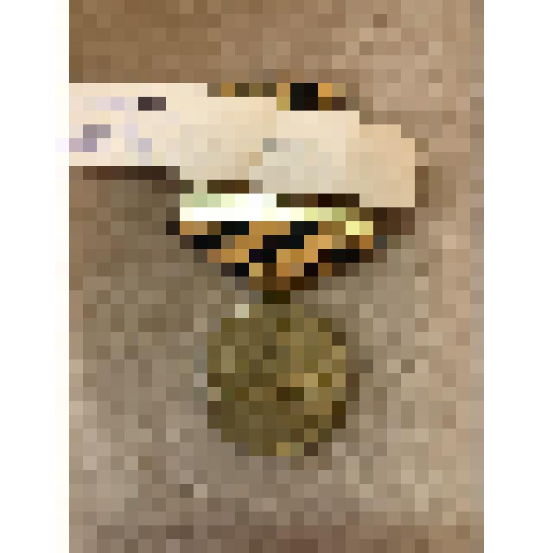 Медаль "За восстановление угольных шахт Донбасса"