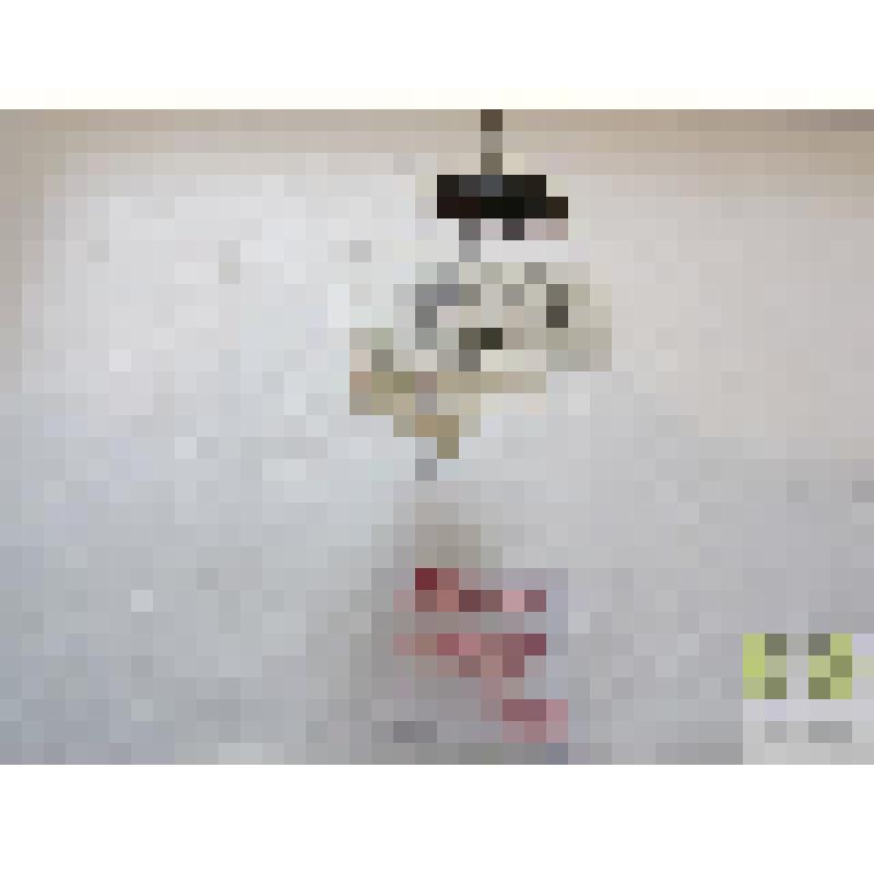 Гребец простой (Agabus neglectus Er.)