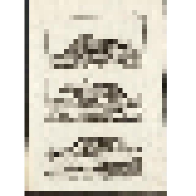 "Histoire Naturelle. Pl. X. Fig. 1. La Civette. Fig. 2. Le Zibet. Fig.3. La Genette. Antonio Baratti sc. Гравюра