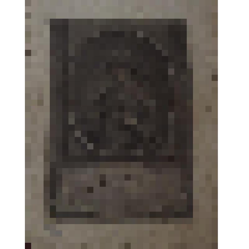 Федор Алексеевич - царь и самодержец  Всероссийский (1661-1682). Эстамп