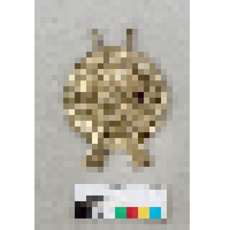 Знак нагрудный "За отличную стрельбу"