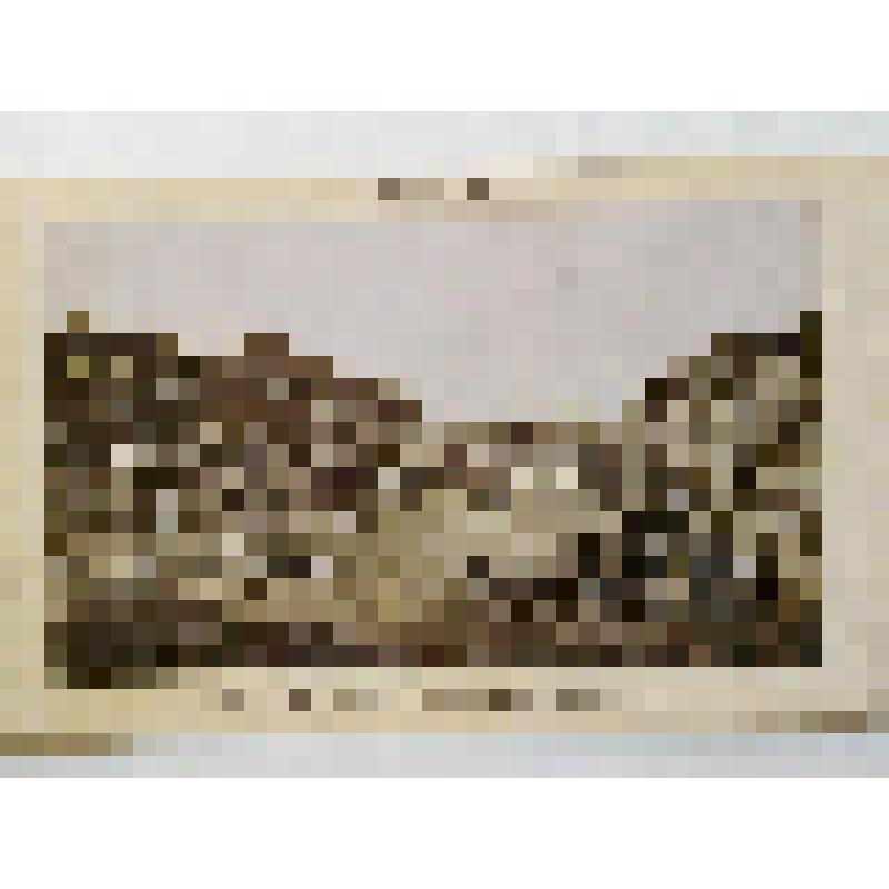 г. Киев. Вид Крещатика. из альбома. Издатель не указан