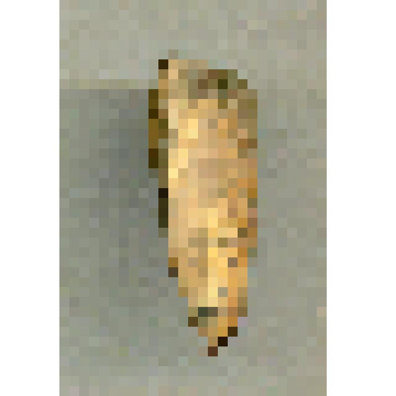 Заготовка изделия (?)