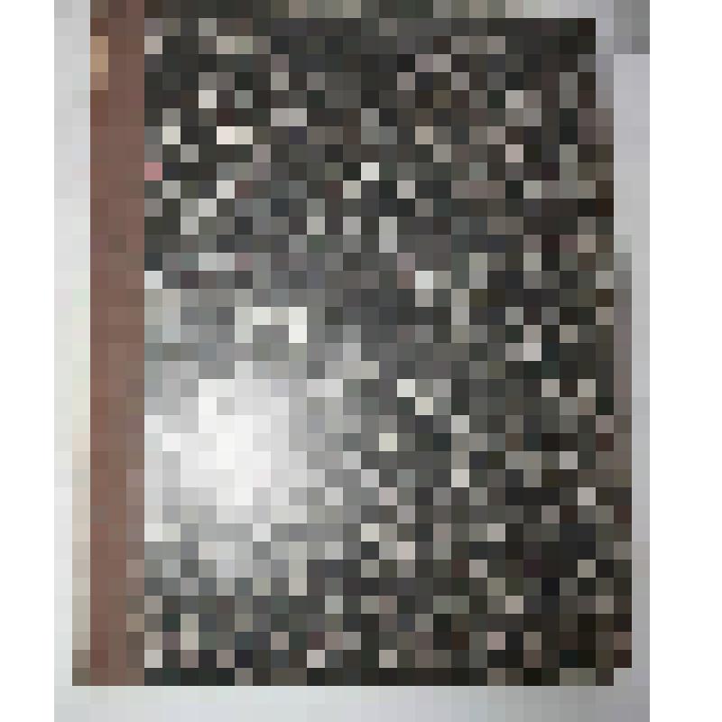 Книга. Отчет по эксплоатации казенных железных дорог за 1898 год.  Часть VI. Отчет Управления Пермь-Тюменской железной дороги. Типо-Литография Заозерского