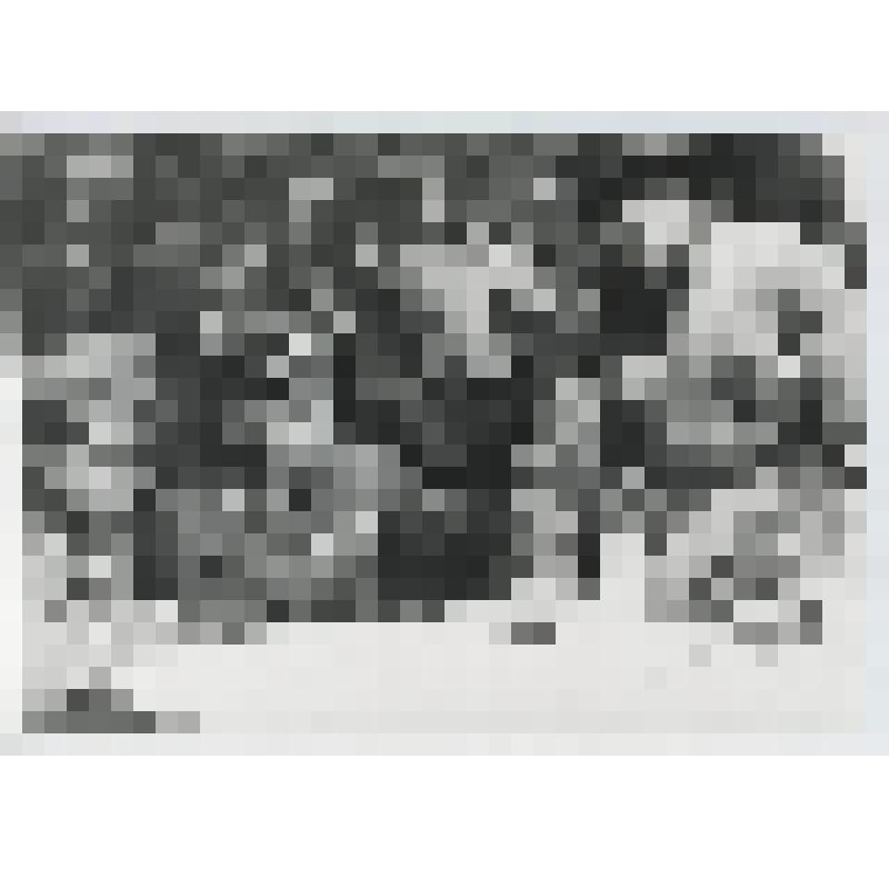 Фото ч/б. В штабе группы Рокоссовского К.К. Обсуждение плана предстоящей операции. Ярцево, август 1941 г