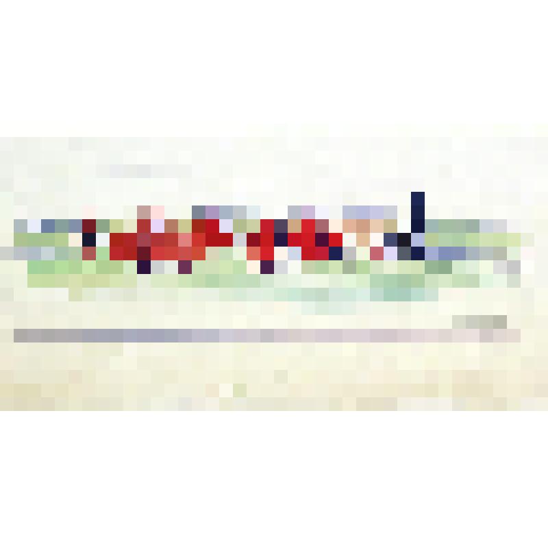 Среднеазиатские мотивы. В поле