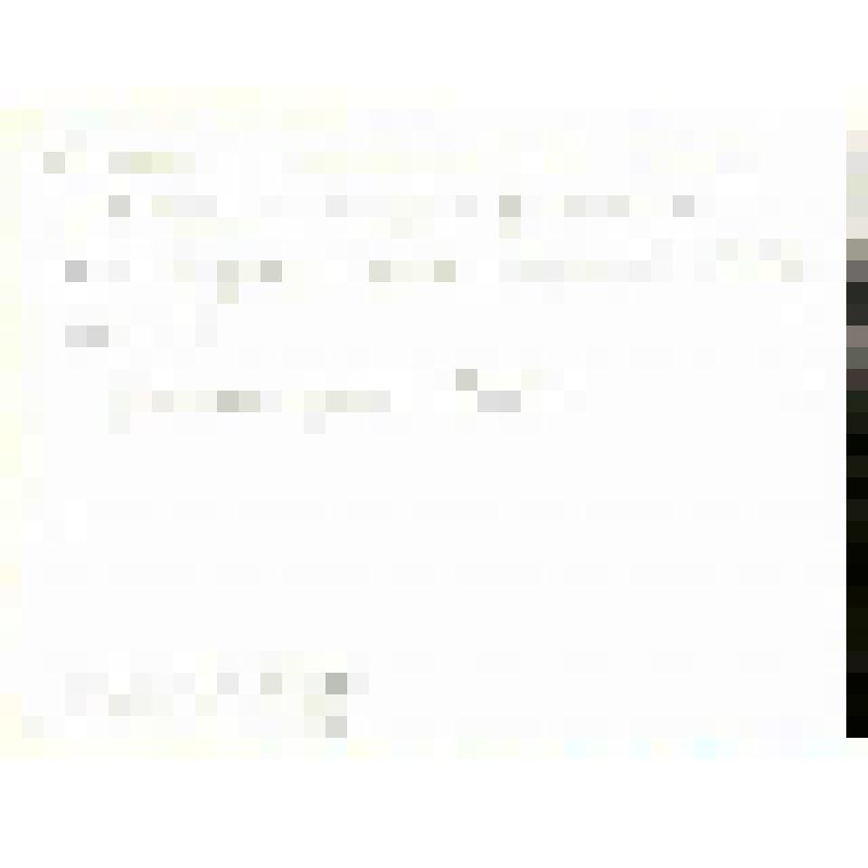 Фотография. Групповой портрет:  Хейдок А.П., Спургот - Пурга М.И. и сотрудники общества Рериха. Калининград