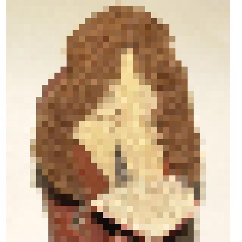 Ботинок женский  "венгерка" (правый)