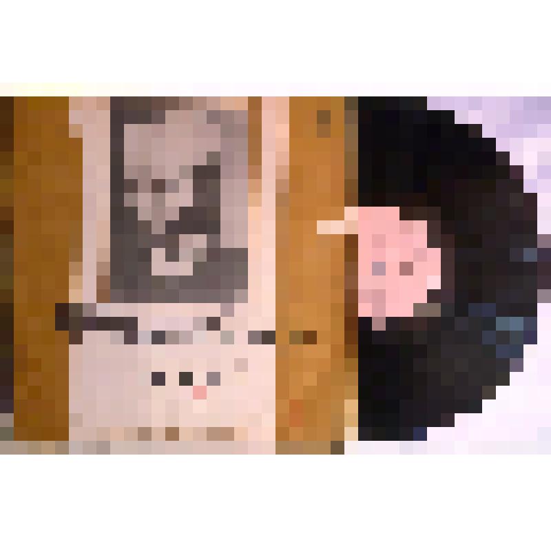 Пластинка  "Щелкунчик" Музыкально-литературная композиция