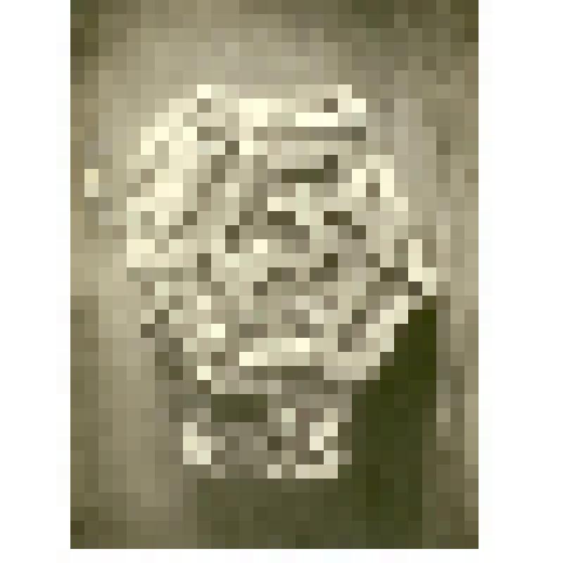 Фотография. Изразец из археологической экспедиции в г. Старом Сарае (с.Селитренное)