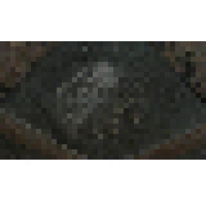 Сундук, окованый железом