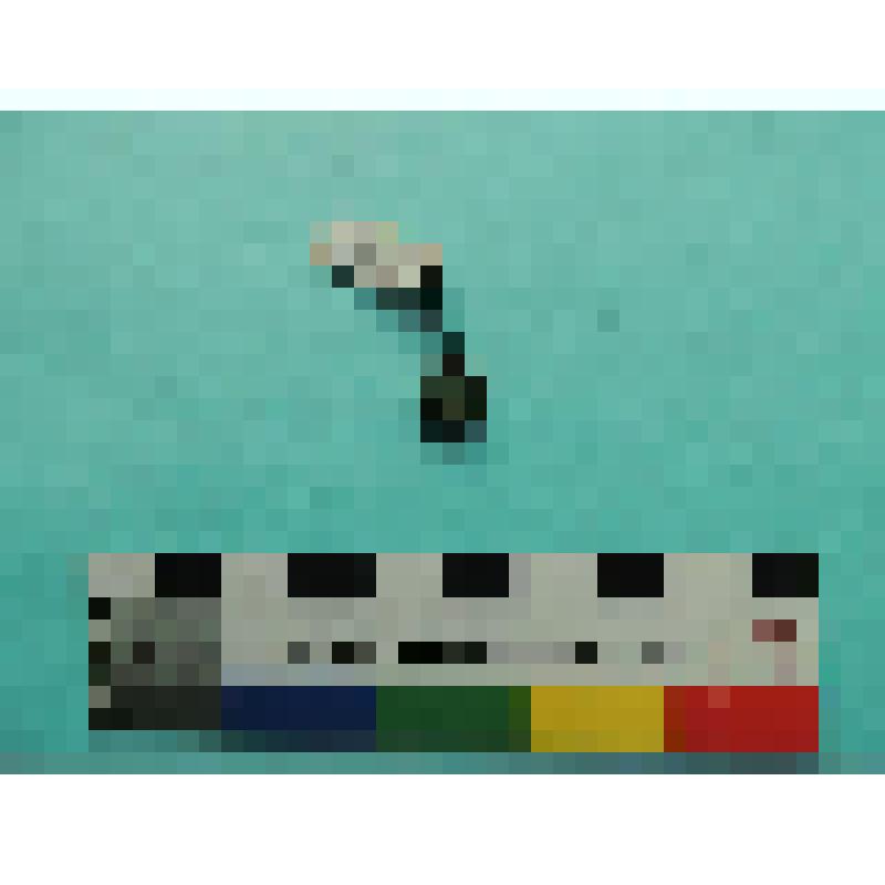 Бляшка полусферическая с двумя отверстиями для пришивания в периферийной части