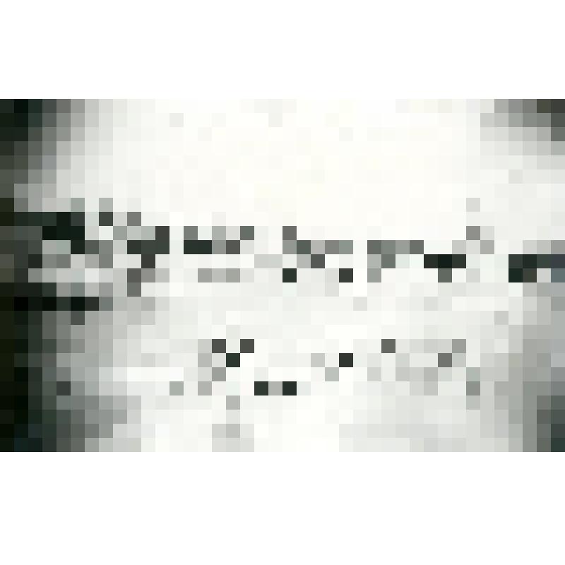 Почтовая карточка. Палатки