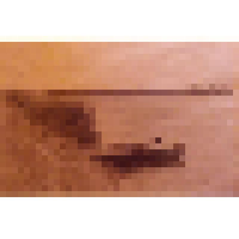 Лодки с мотором