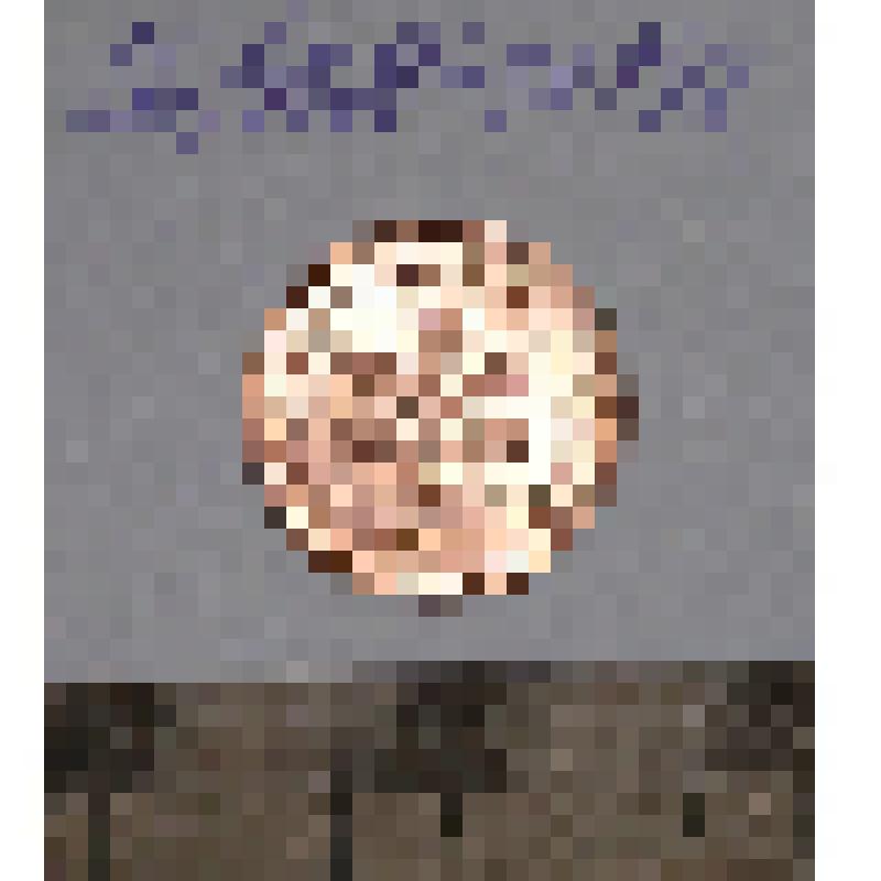 Монета. 1 пфенниг