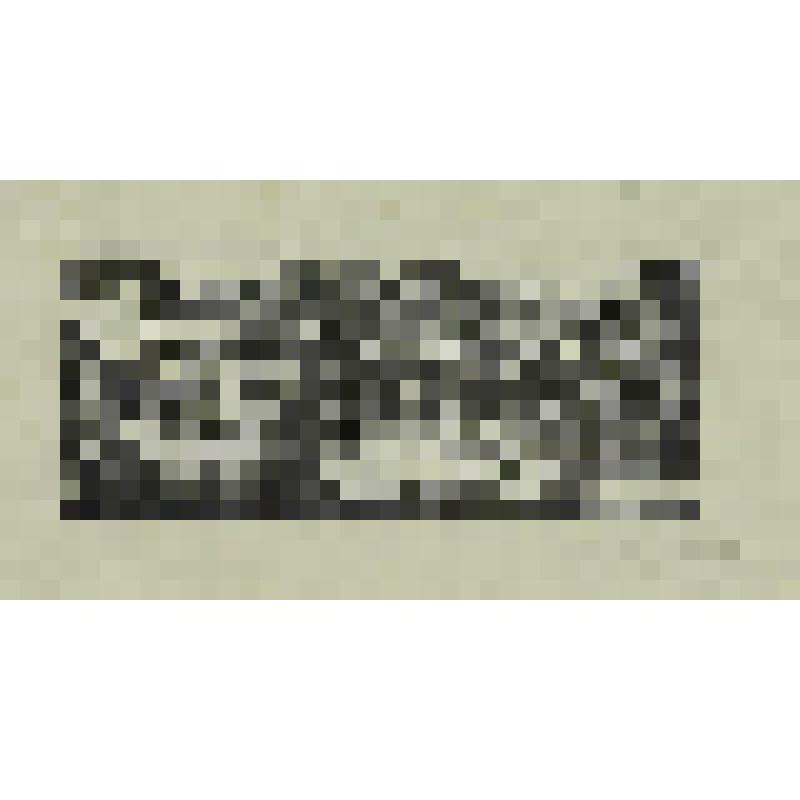 "Севастопольские рассказы", гравюра