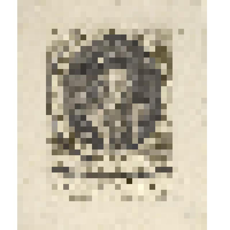 Адольф Эгмонт (1438-1477) — герцог Гельдерна и граф Цютфена в 1465—1471 годах. Сын Арнольда Гельдернского и Катерины Клевской. фонд западноевропейского  гравированного портрета