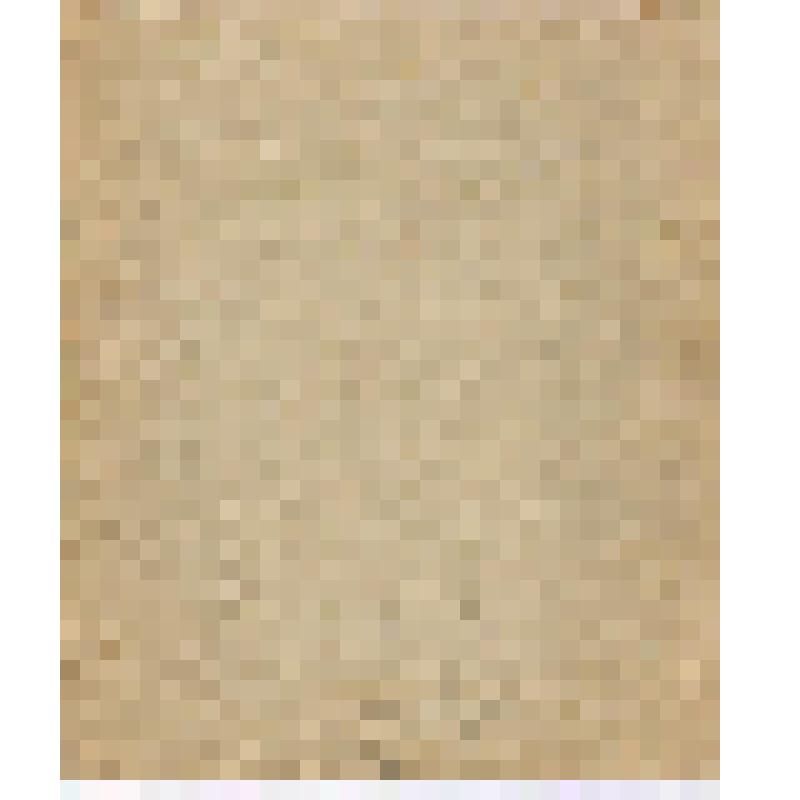 Фотография. Кузьмина (урожд. Менделеева) М.Д., дочь Д.И.Менделеева с мужем и дочерью