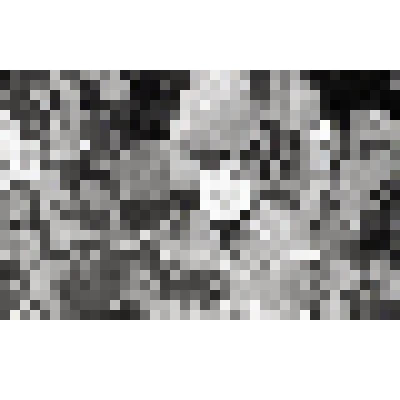 негатив. Боярышник мягковатый