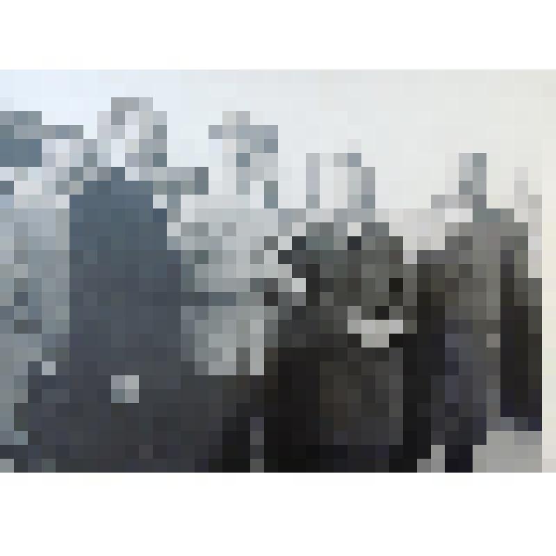 фото "открытие памятника советскому солдату на основной переправе войск через Днепр"