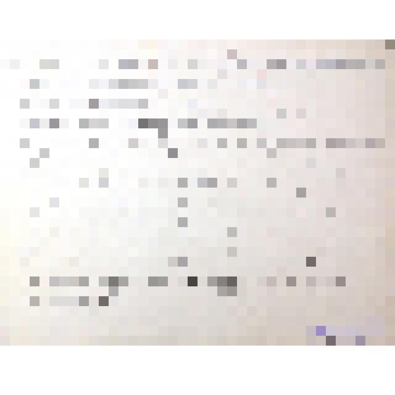 фото "открытие памятника советскому солдату на основной переправе войск через Днепр"