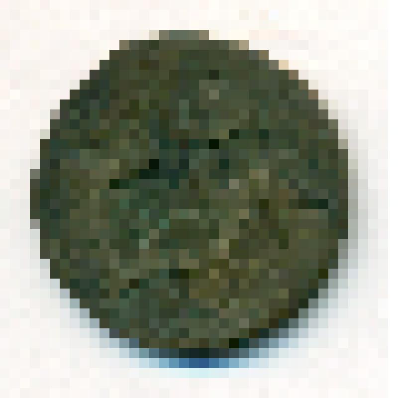 Копия древней монеты Иудеи