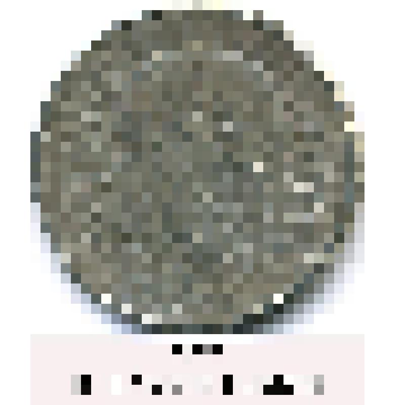 Монета. 5 злотых