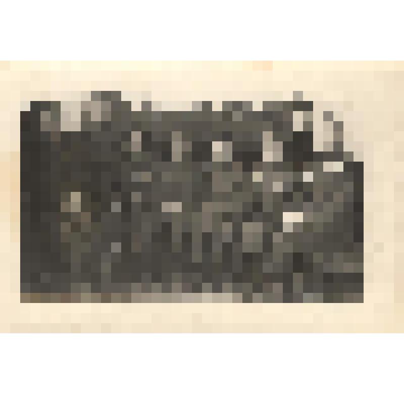 фотография групповая "Группа офицеров Советской армии среди них П.А.Канев офицера запаса"