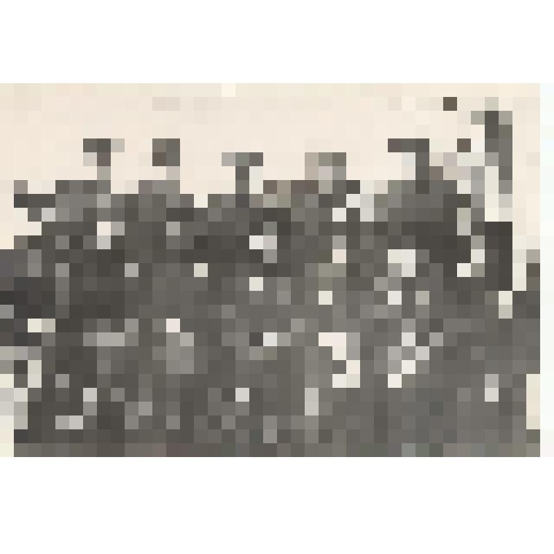 Фотоснимок. Командование 206-го ДИПТР, 1944 г. (по истории Подпорожского района XIX - XX вв.)