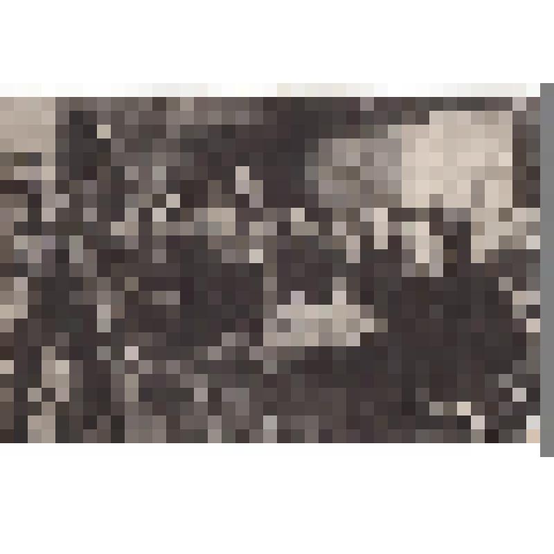 Карточка почтовая с фоторепродукцией картины Н.П. Богданова-Бельского "Воскресное чтение в сельской школе"