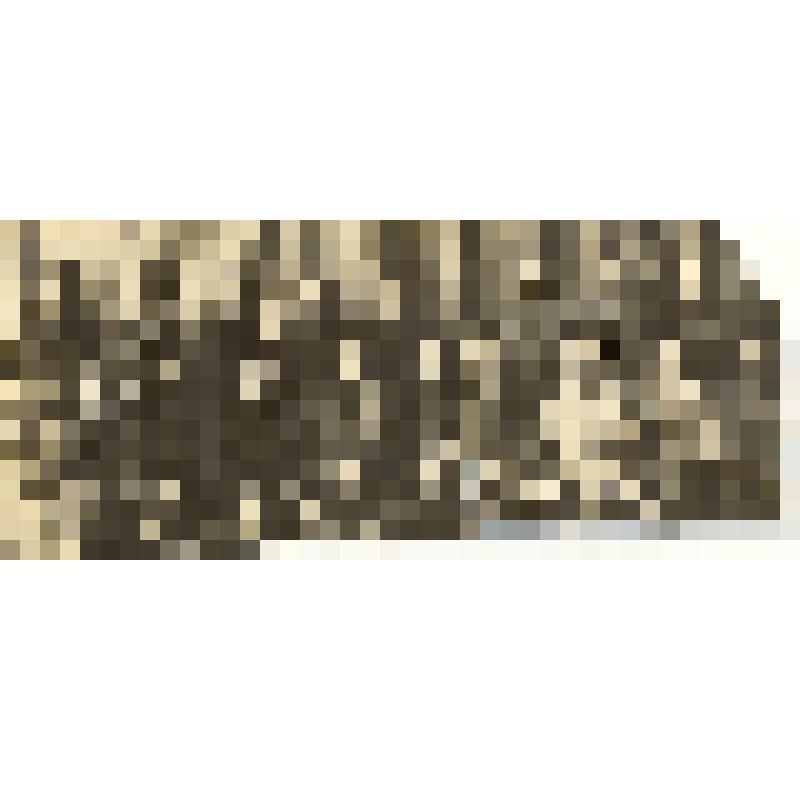 Фотография: сотрудники Каменского окружного отдела Объединенного государственного политического управления