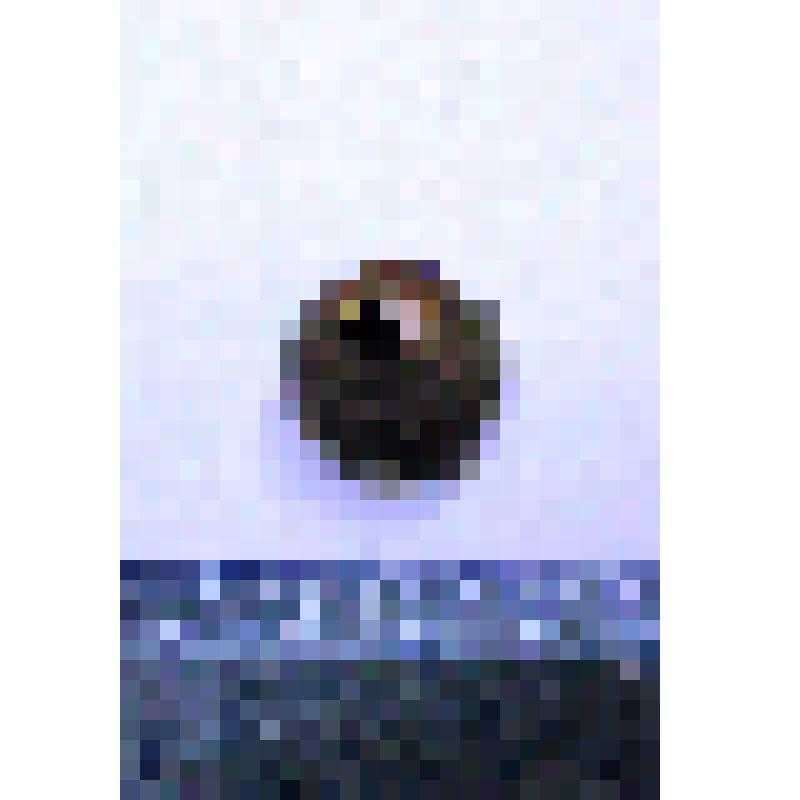 Бубенчик
