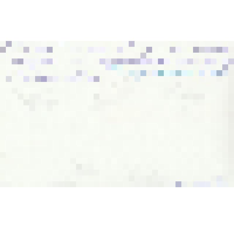 Фотография. Гомзяков Николай Филимонович с родственниками и друзьями