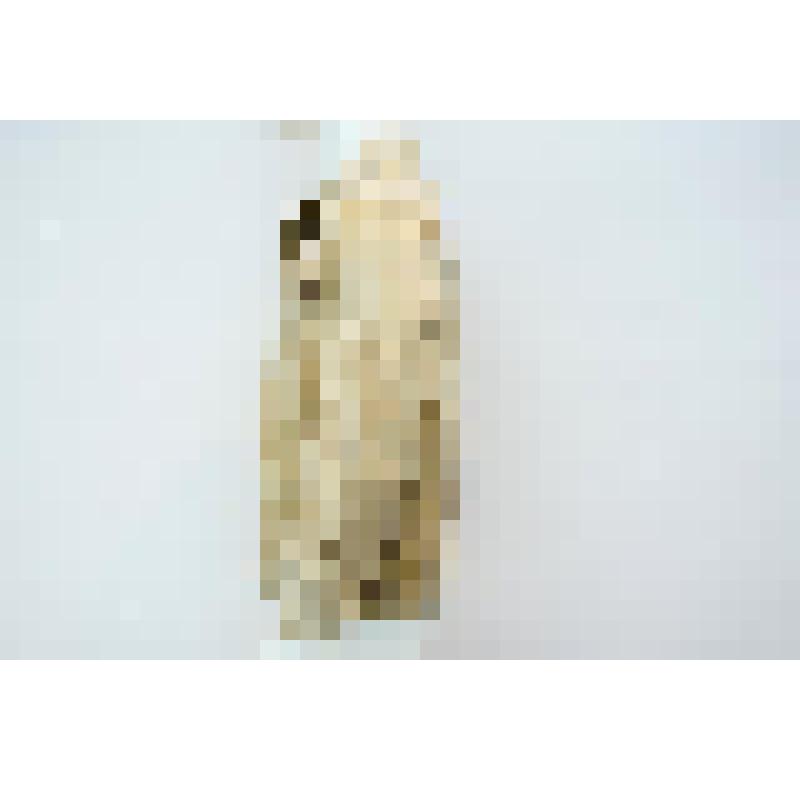 Куртка-китель костюма "Мабута-2" (комплект костюм прыжковый для частей и подразделений СПН ТуркВО)