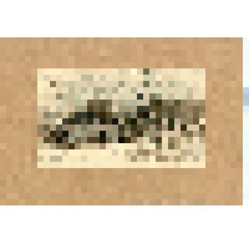 Забивка шпунтин электрическим копром. Из серии «Строительство речного порта в г. Ульяновске»