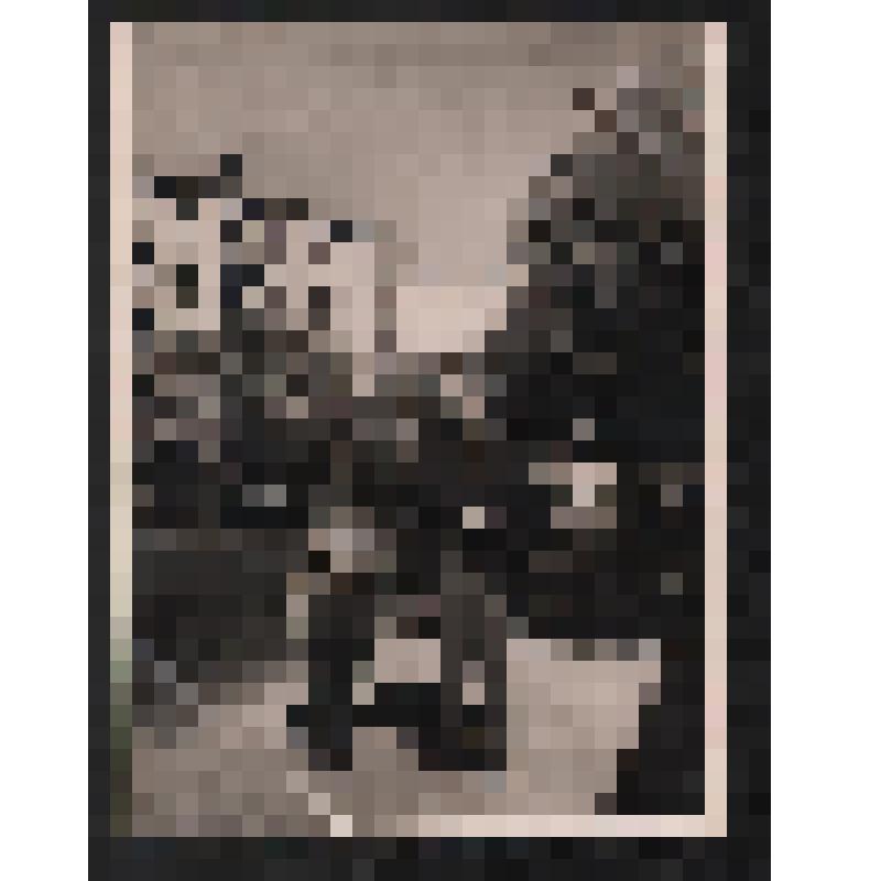 Фото ч/б Осинский Георгий Каземирович
На прогулке с сыном