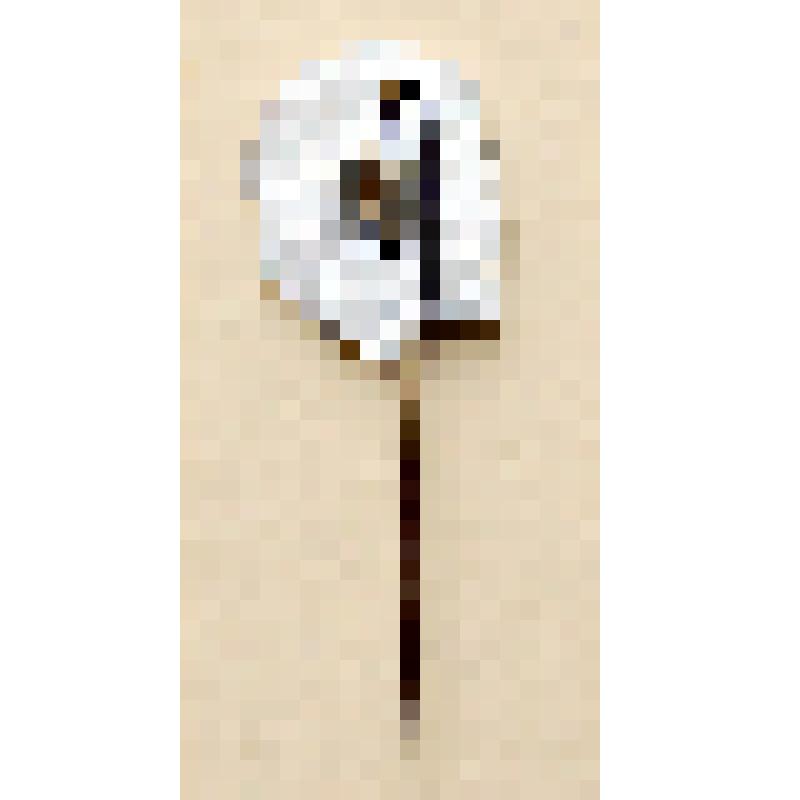 Значок в виде профиля В.И. Ленина