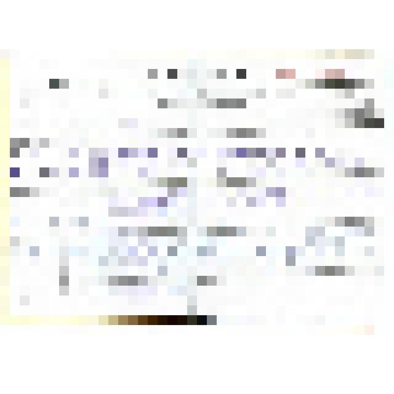 Документ. "Трудовая книжка Вильчевского А.Л. от 13 декабря 1945 года"