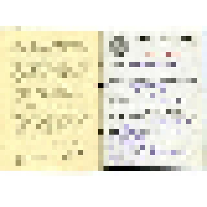 Документ. "Трудовая книжка Вильчевского А.Л. от 13 декабря 1945 года"