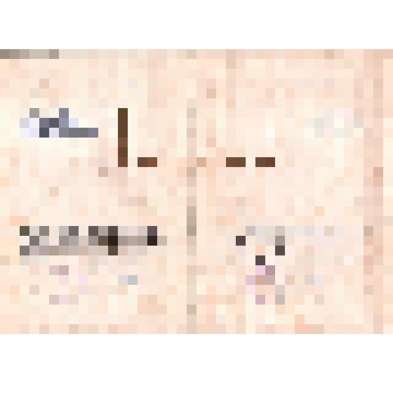 Диплом о присуждении Первой премии колхоза имени XXIII партсъезда произведениям Л. В. Кокышева