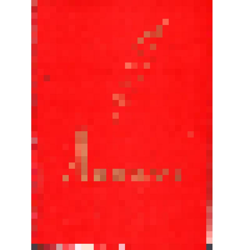 Диплом о присуждении Первой премии колхоза имени XXIII партсъезда произведениям Л. В. Кокышева