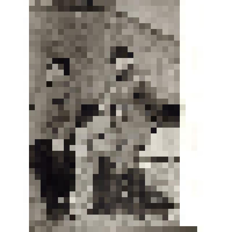 Фотография (сюжетная) "Катуков М. Е. и Попель Н. К."