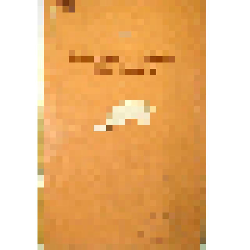 Брошюра. Кормовые рационы для свиней