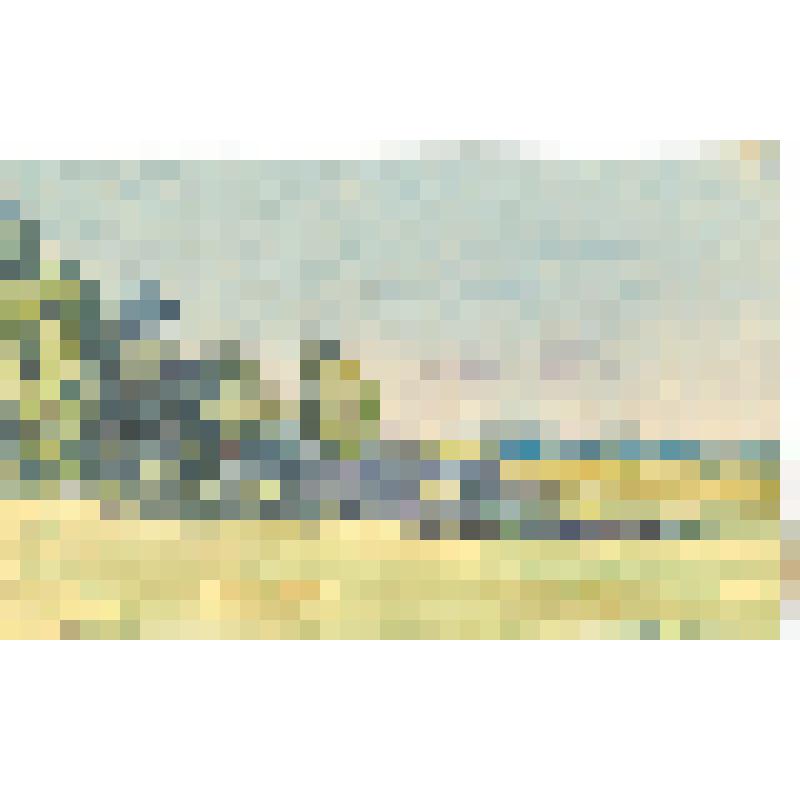 Моркваши. Опушка леса