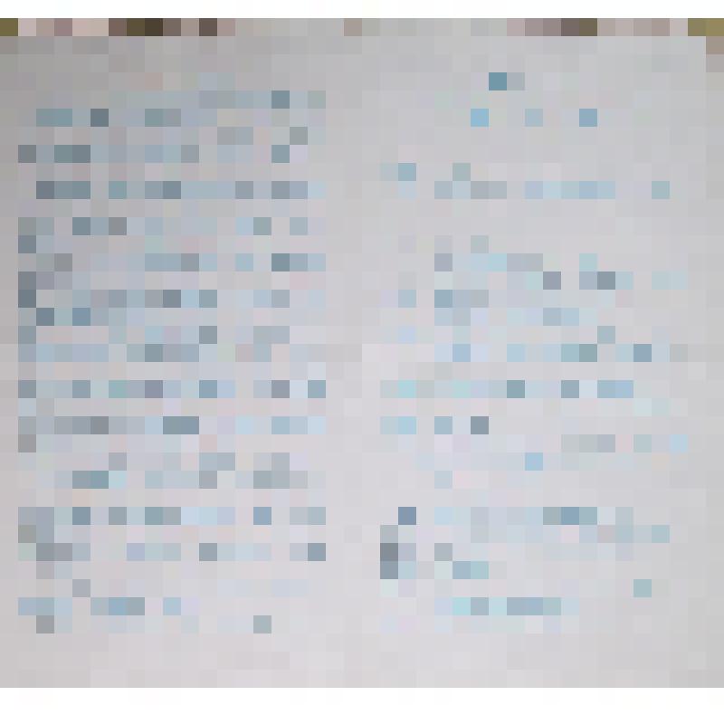 Программа встречи ветеранов 378 стрелковой Новгородской Краснознаменной дивизии