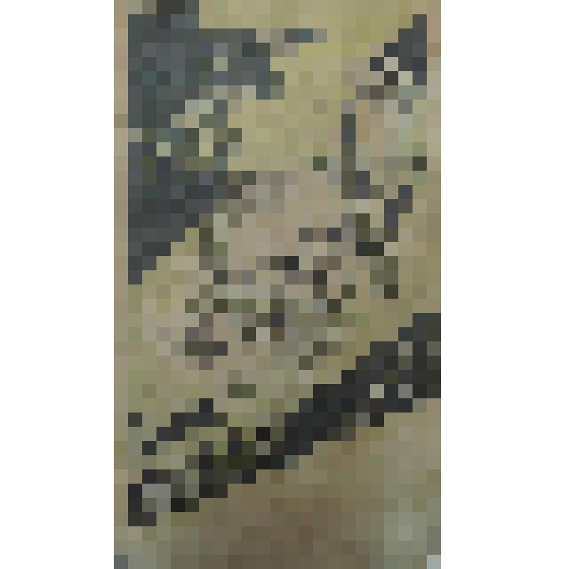 Орнамент. Проект декора диванной подушки. Рисунок