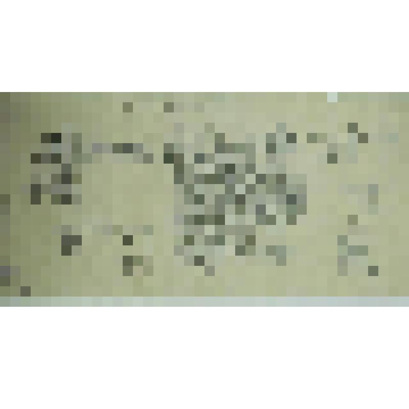 Орнаменты и инициалы. Прорисовка. Рисунок